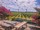 BACKYARD BRUNCHES AT COREY CREEK - View 4