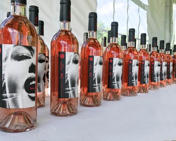 TASTE ROSÉ CASE SALE